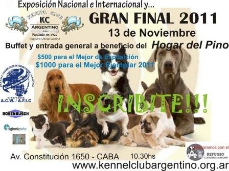Imagen destacada del artículo «Gran Final de año 2011»